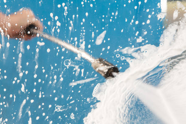 Best Animal Enclosure Cleaning  in South Bay, FL